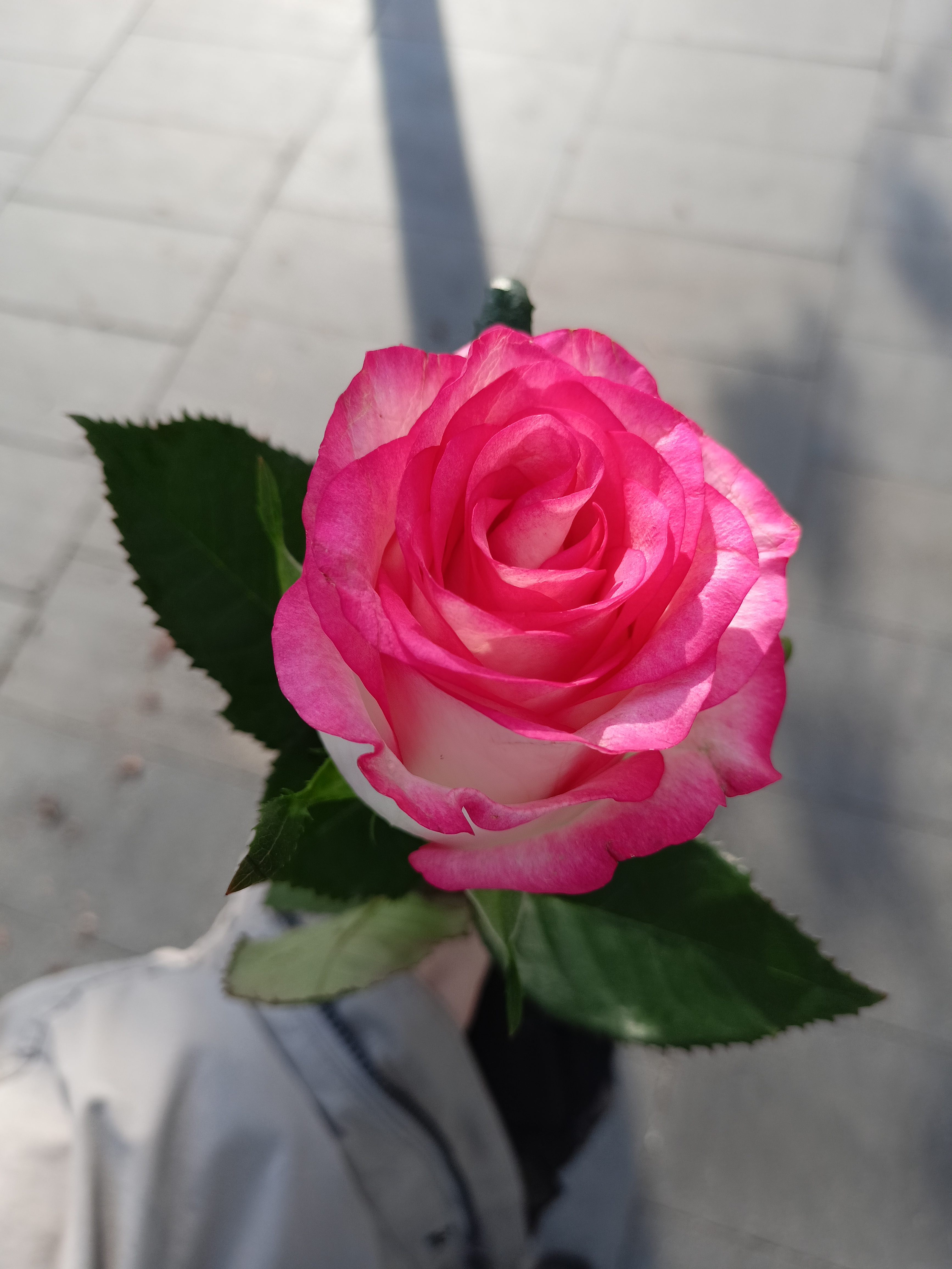 Дмитрий Геннадьевич